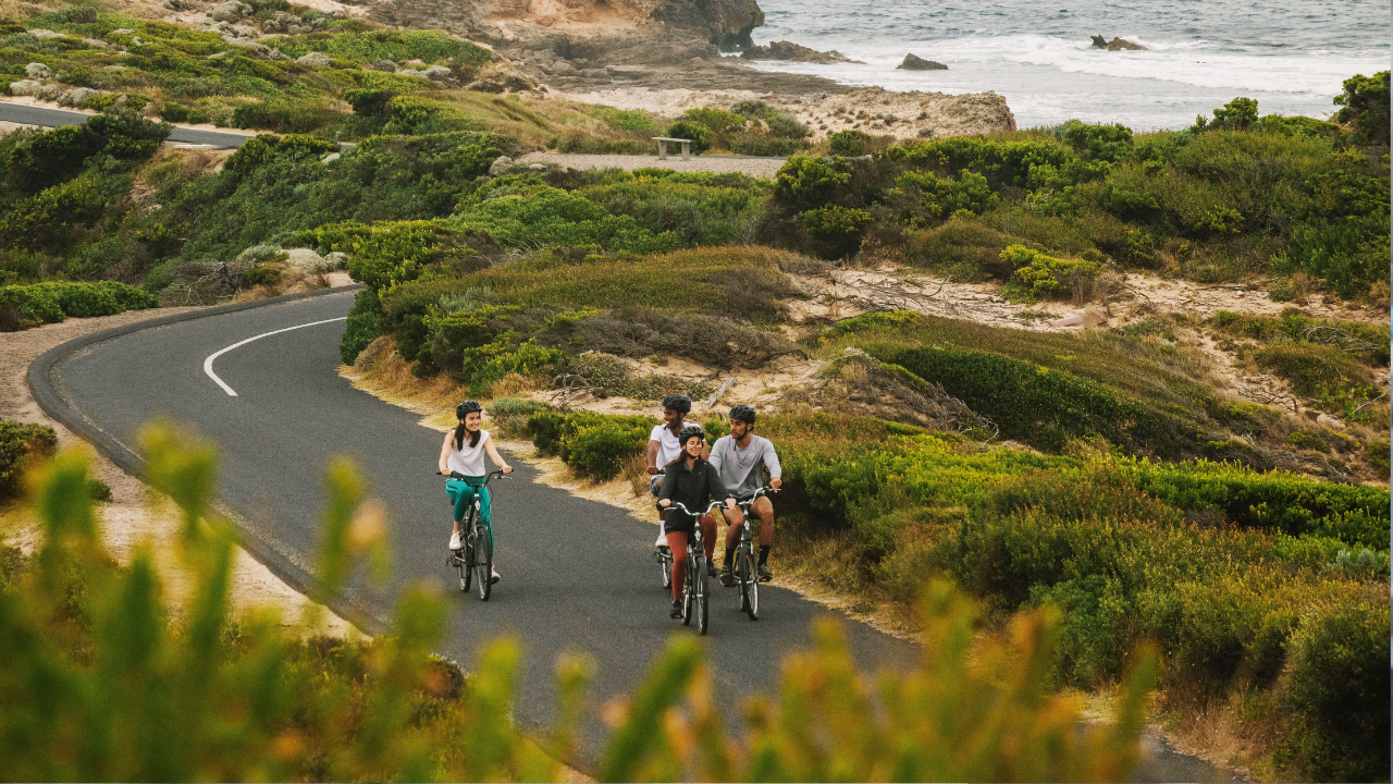 Four people riding bikes on regional coastline road