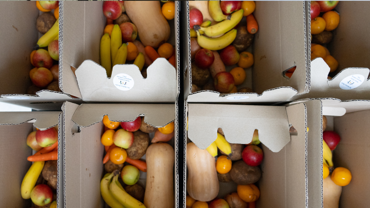 Fruit and vegetables packaged in boxes